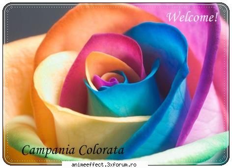 Campania Colorata - Welcome in grup! Sper sa va distrati aici! Ca sa - Cluburi