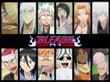 Despre anime - Hakusho - Bleach